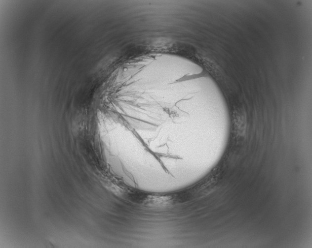 X0000080670665200701051010