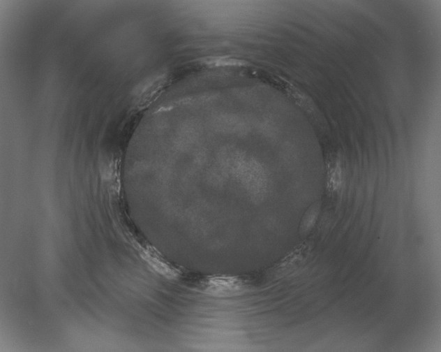 X0000080670666200701051010