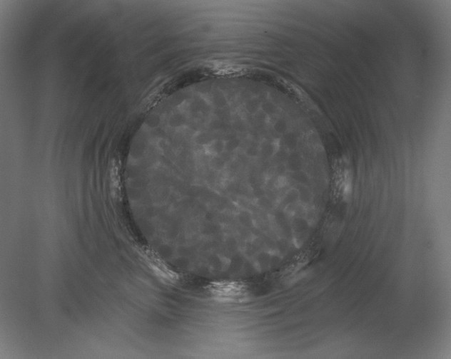 X0000080670667200701051010