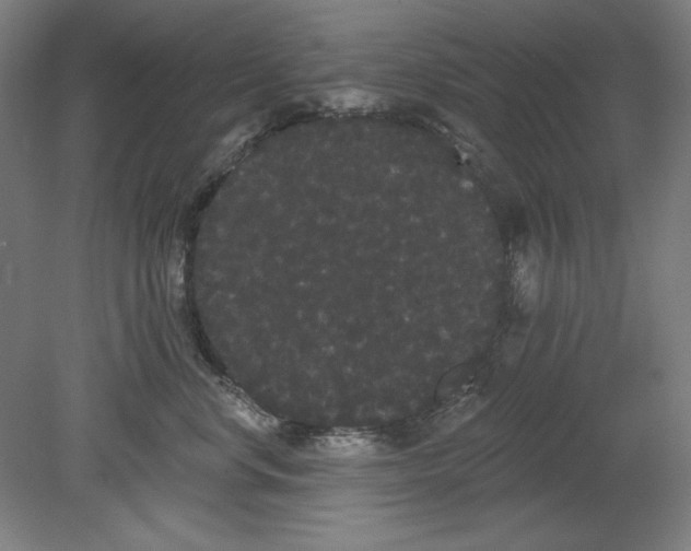 X0000080670668200701051010