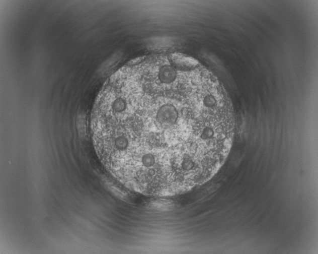 X0000080670669200701051010