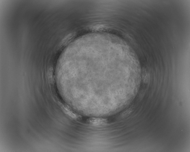 X0000080670670200701051010