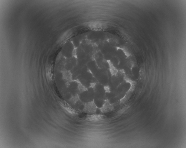 X0000080670671200701051010