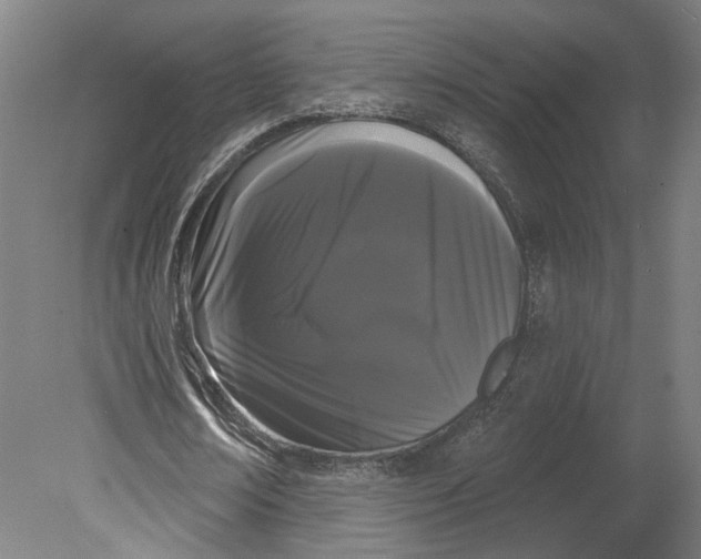 X0000080670674200701051009