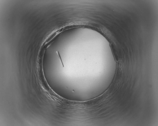 X0000080670676200701051009