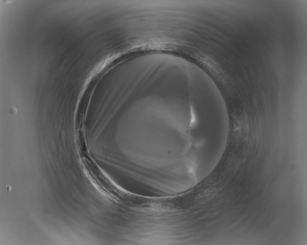 X0000080670678200701051009