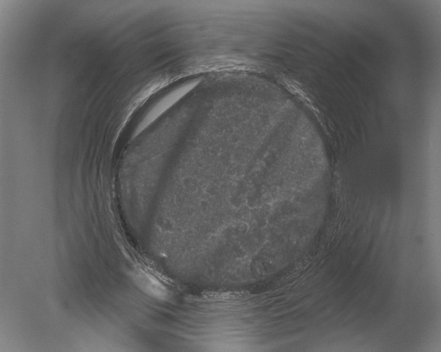 X0000080670679200701051009