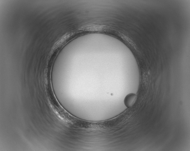 X0000080670682200701051009