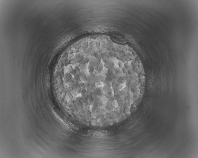 X0000080670683200701051009