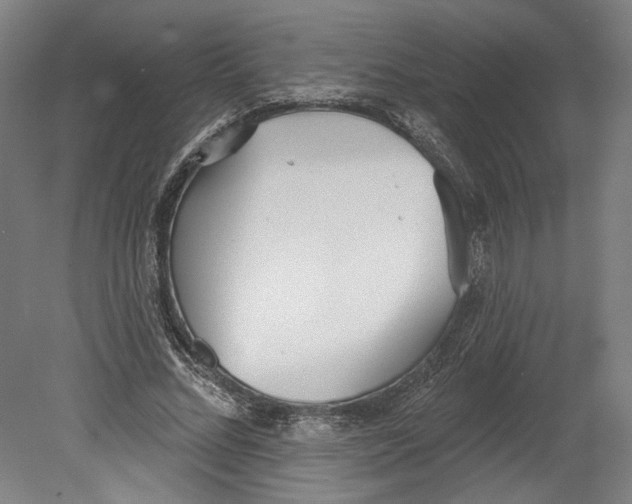 X0000080670684200701051009