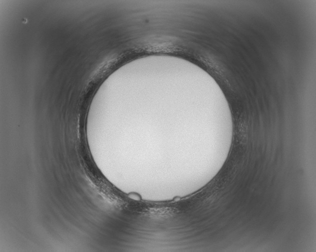 X0000080670686200701051009