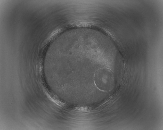 X0000080670687200701051009