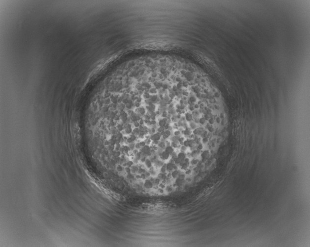 X0000080670688200701051009