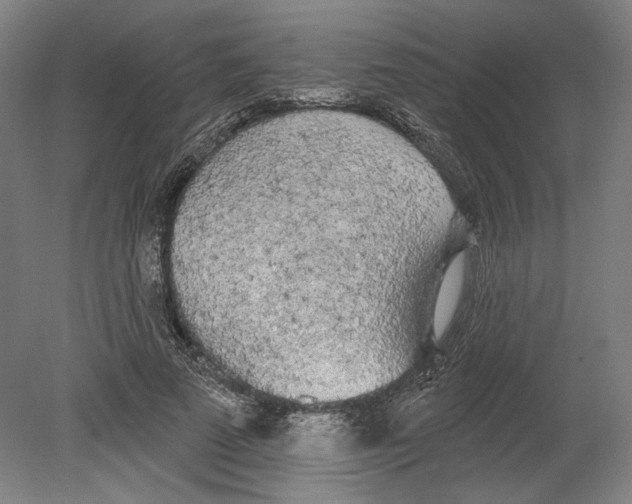 X0000080670689200701051009