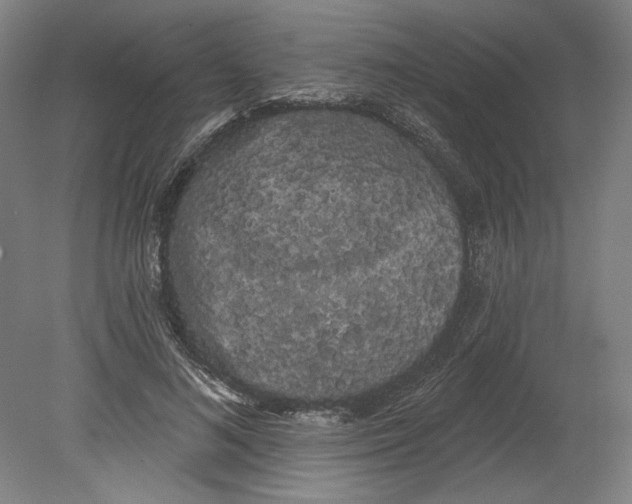 X0000080670692200701051009