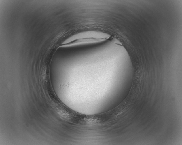 X0000080670693200701051009