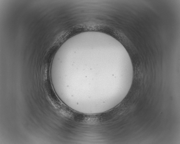 X0000080670694200701051009