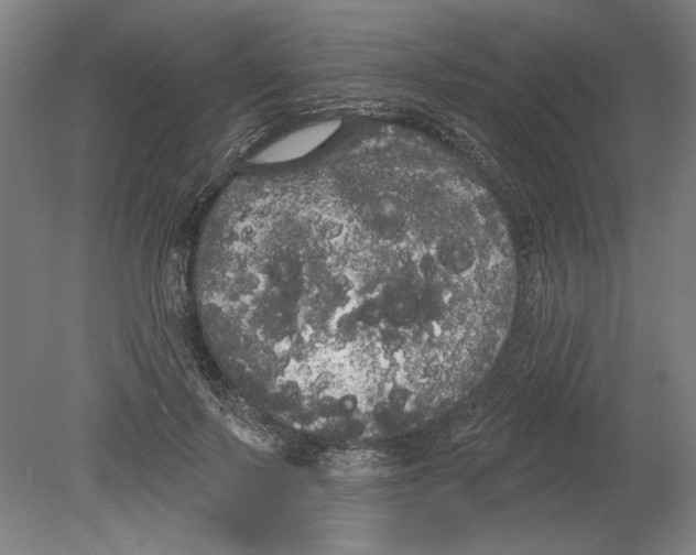 X0000080670695200701051009