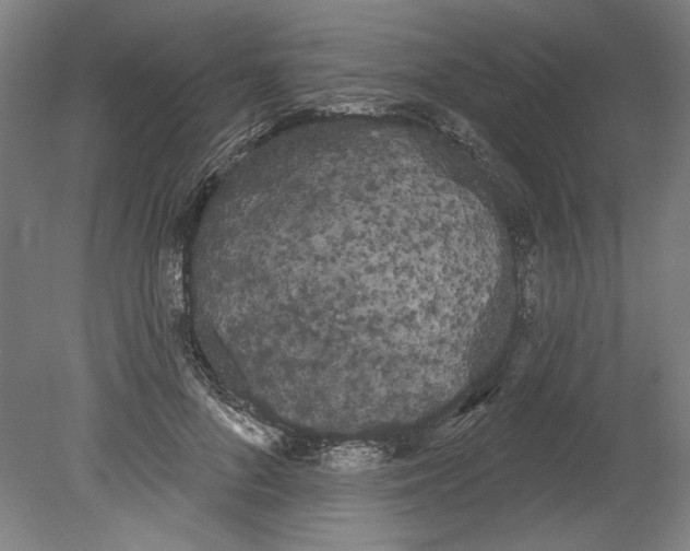 X0000080670696200701051009