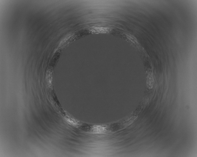 X0000080670701200701051008