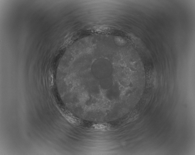 X0000080670703200701051008