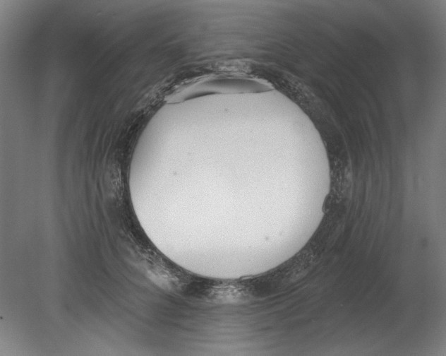 X0000080670704200701051008