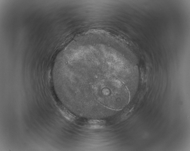 X0000080670707200701051008