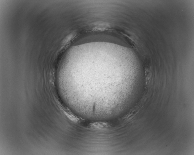 X0000080670712200701051008