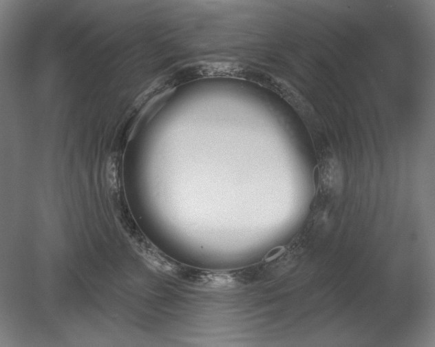 X0000080670715200701051008