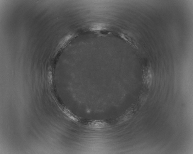 X0000080670716200701051008