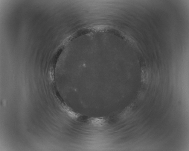 X0000080670718200701051008