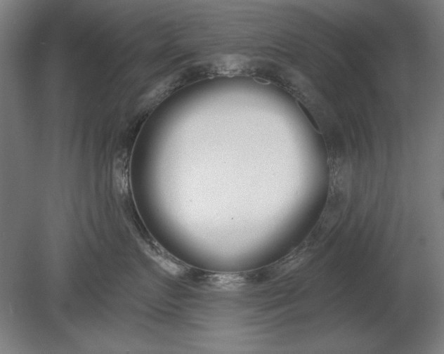 X0000080670719200701051008