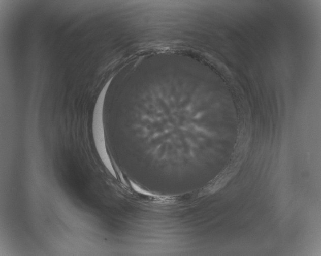 X0000080670720200701051008