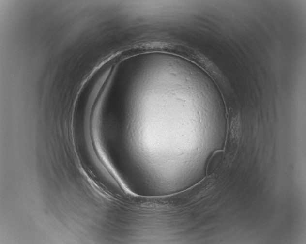 X0000080670722200701051007