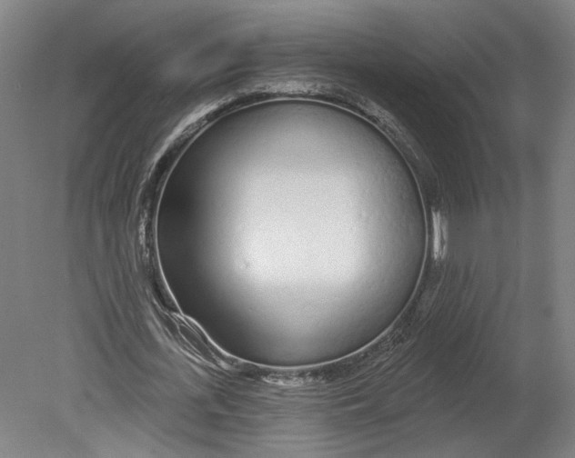 X0000080670723200701051007