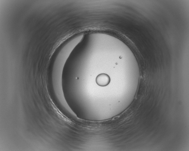 X0000080670725200701051007