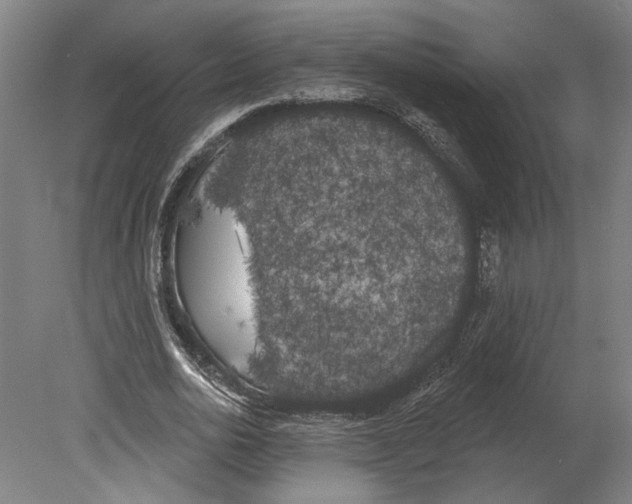 X0000080670726200701051007