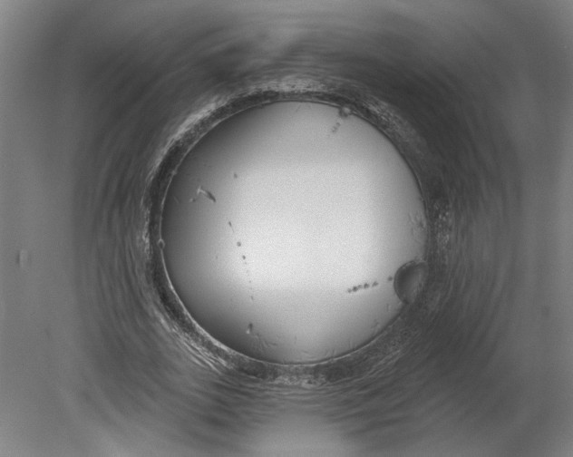 X0000080670727200701051007