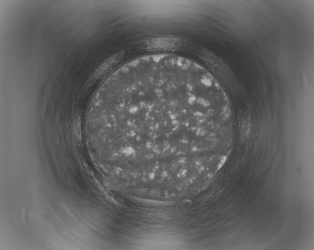 X0000080670729200701051007