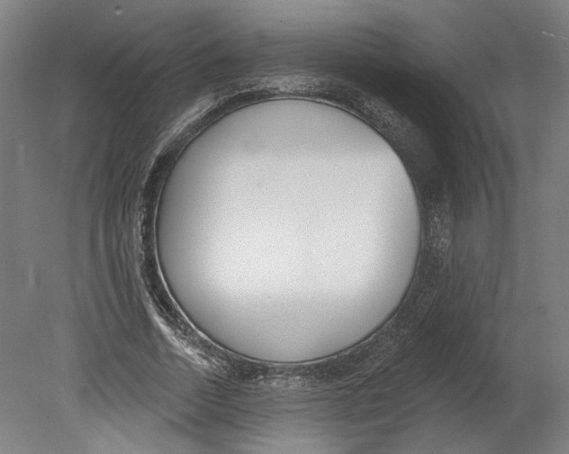 X0000080670730200701051008