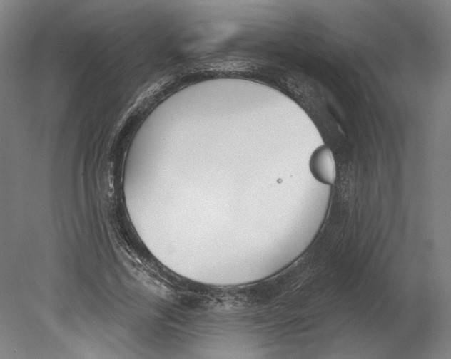 X0000080670731200701051008