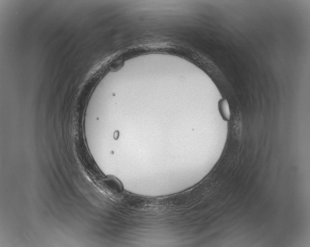 X0000080670732200701051008