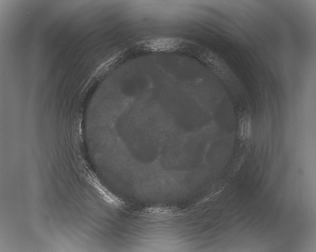 X0000080670733200701051008