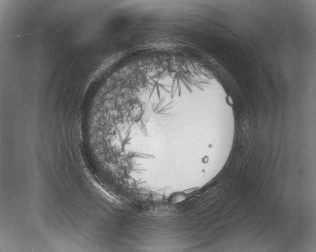 X0000080670734200701051008