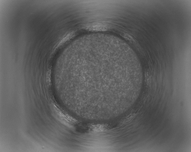 X0000080670735200701051008