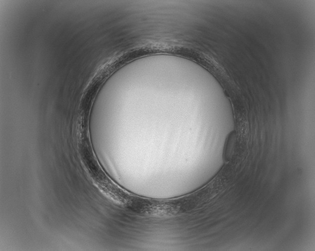 X0000080670736200701051008