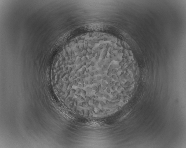 X0000080670737200701051008