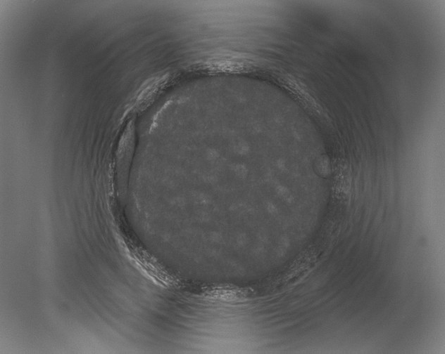 X0000080670738200701051008