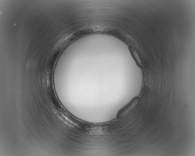 X0000080670740200701051008