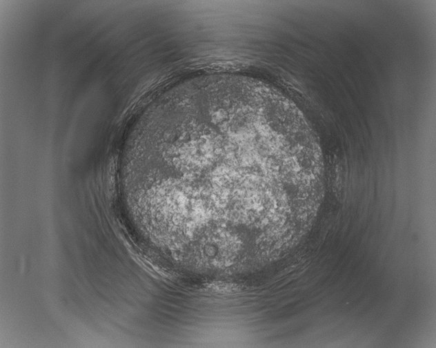 X0000080670742200701051008